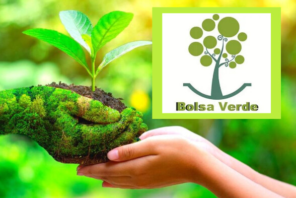 Bolsa Verde 2025: 70 mil famílias já são beneficiadas com R$ 600 e meta é atingida antes do previsto 1 Bolsa verde 2025