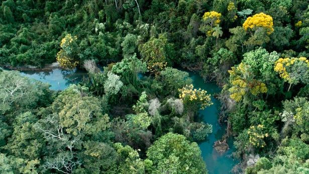 Dia do Rio: Reserva protege nascentes de um dos rios mais importantes do Cerrado brasileiro