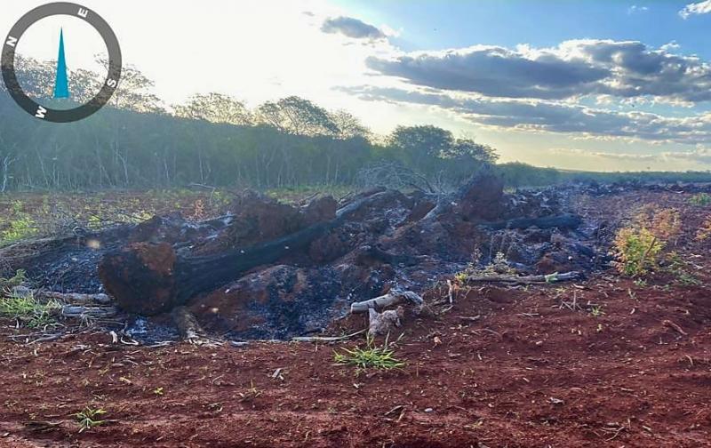 Polícia Militar Ambiental de São Gabriel do Oeste autua infrator em R$ 22 mil durante a operação Prolepse por incendiar restos de vegetação em leiras neste período proibido