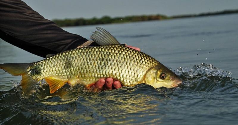 Inscrições para curso gratuito de Formação de Condutores de Pesca Esportiva em Três Lagoas continuam abertas