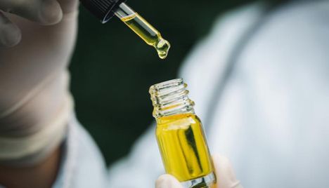 Produtos à base de cannabis medicinal têm se mostrado alternativa aos opiáceos para tratamento de dor crônica