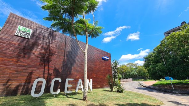 Samsung Ocean conclui agenda de 2022 oferecendo 14 atividades gratuitas para capacitação tecnológica