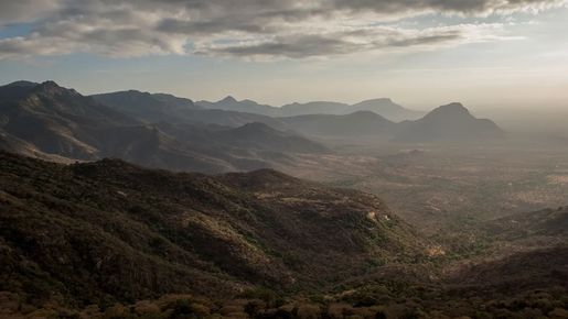 Meta de proteção de 30% do território global e fundo para a proteção da biodiversidade são os destaques da COP 15