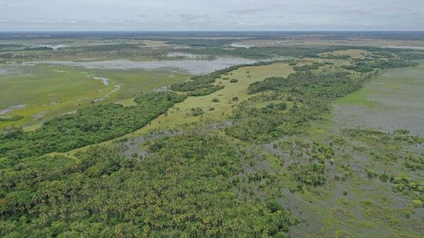 LATAM fecha aliança para a conservação de 575 mil hectares em área prioritária para o mundo