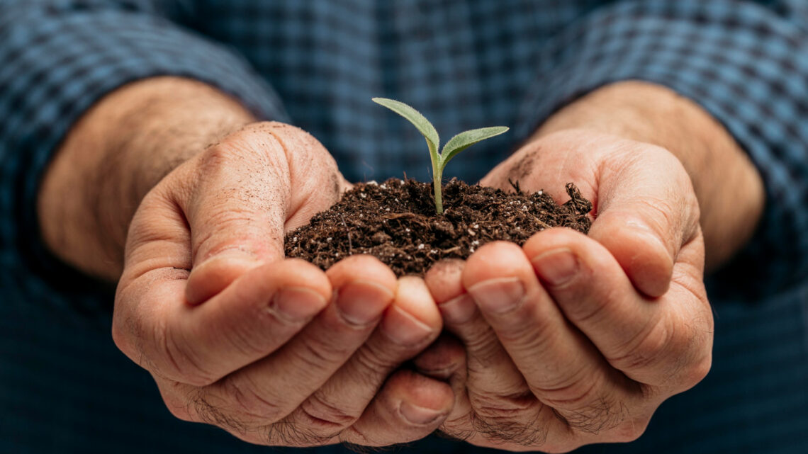 Para aumentar o número de investidores nas startups de Agro, Arara Seed fecha com a Ativa Investimentos 