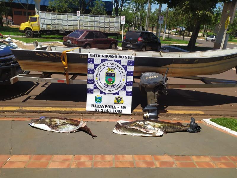 PMA de Batayporã prende em flagrante e autua em R$ 1,6 mil pescador por pescar durante a piracema e capturar pescado acima da cota e apreende barco, motor e 43 kg de pescado