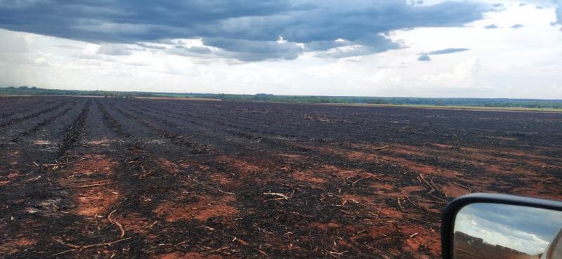Polícia Militar Ambiental de Dourados autua usina sucroenergética de Rio Brilhante em R$ 163 mil por incêndio em palhada para colheita da cana-de-açúcar