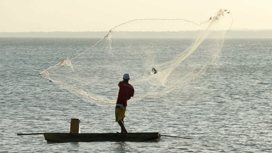 Mapa reativa licenças de pescadores profissionais que haviam sido suspensas