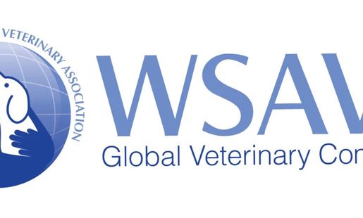  Curso com certificação WSAVA sobre Doenças Infecciosas e Transmitidas por Vetores é realizado pela MSD Saúde Animal