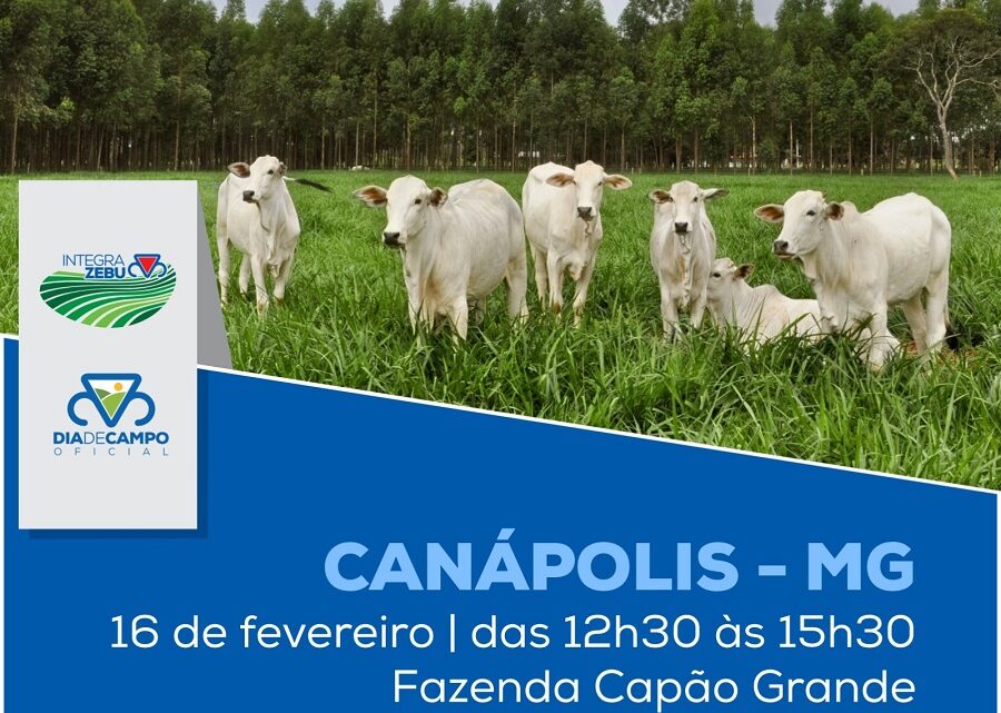 Manejo e manutenção de pastagem é tema em Dia de Campo do Integra Zebu em Canápolis (MG) no próximo dia 16