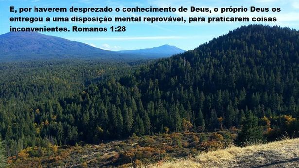 Romanos 1:28