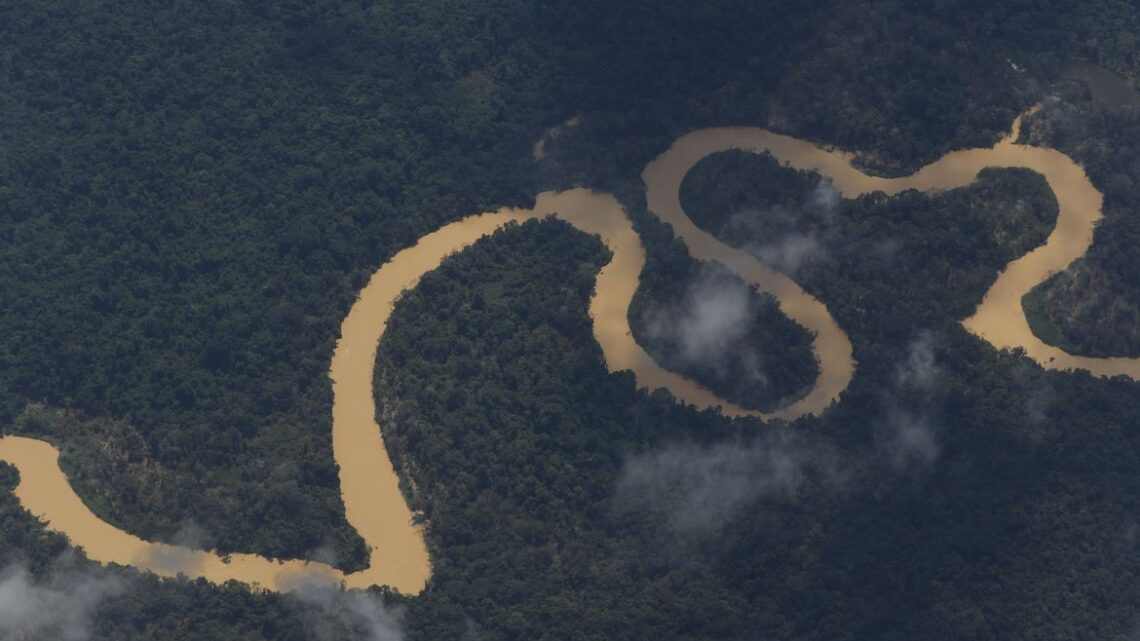 Indígenas denunciam assassinato de três yanomami em Roraima