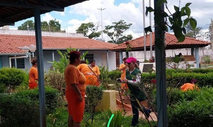 Cultivo e manejo de plantas é tema de capacitação profissional em presídios de MS