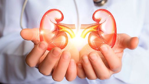 Dia Mundial do Rim: entenda os riscos da doença renal crônica e saiba como se prevenir