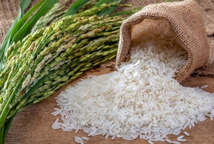 Novos leilões de contrato de opção de venda de arroz são marcados para próximo dia 20