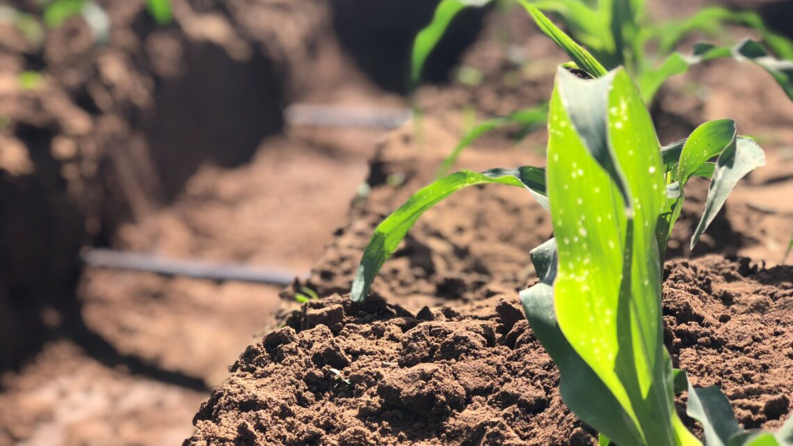 A irrigação como agente mitigador da seca no sul do Brasil