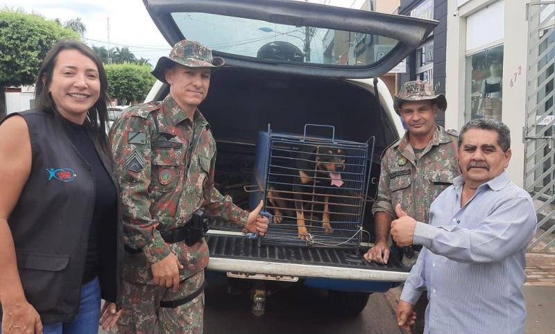 PMA e Vigilância Sanitária de Cassilândia resgatam Rottweiler abandonado por família que foi embora da cidade para outro estado