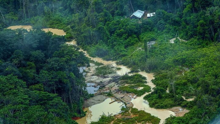 Greenpeace Brasil encontra 176 escavadeiras em terras Yanomami