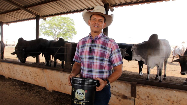 Produzir o boi jovem magro para os confinamentos requer estratégias e suplementação para potencializar ganhos