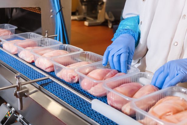Comitê da FAO avança em processo de alteração dos Limites Máximos de Resíduos de nicarbazina em frangos de corte 