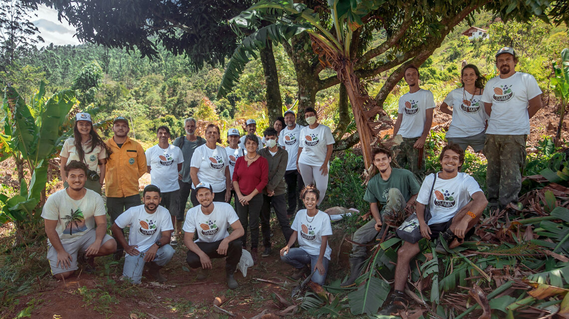 Governo britânico destaca resultados de projeto brasileiro na promoção de agroflorestas