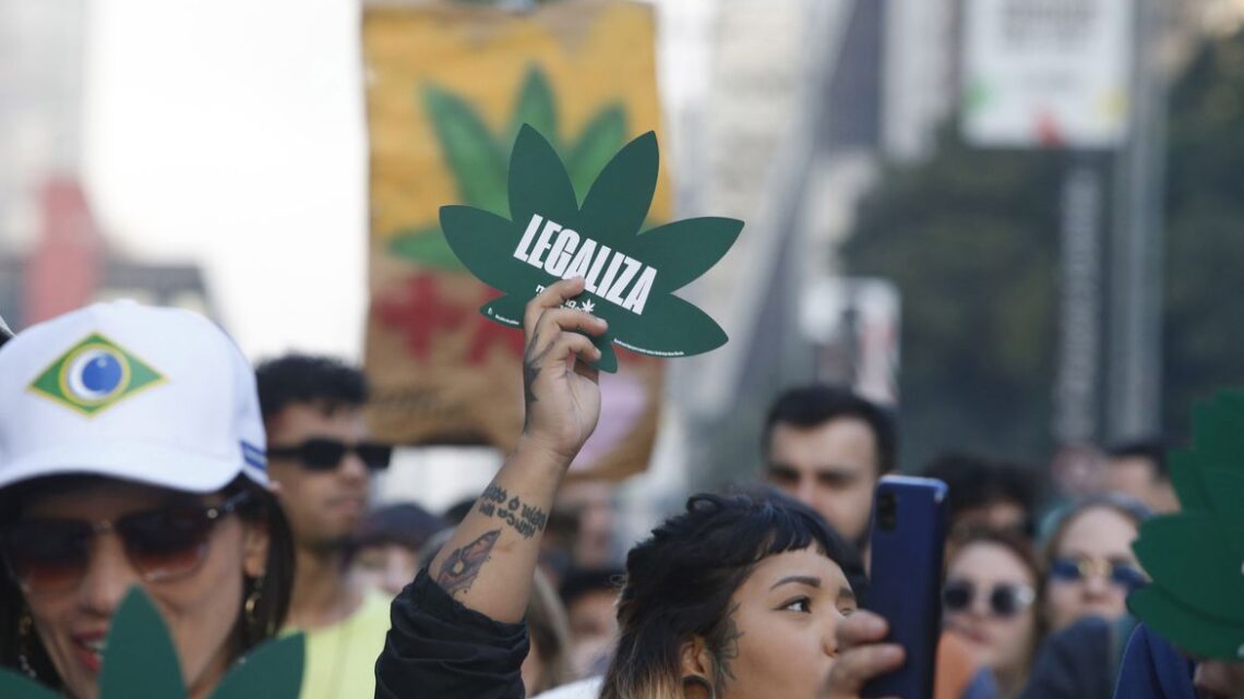 Marcha da Maconha em São Paulo defende não proibição às drogas