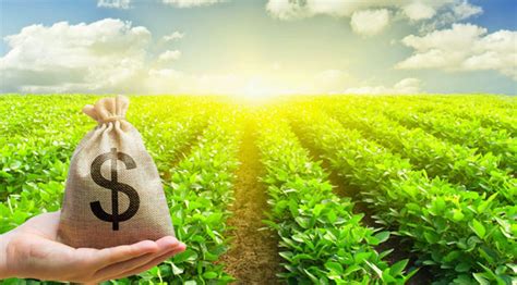 Seguro de crédito: benefícios da ferramenta financeira que protege empresas e agora, o produtor rural