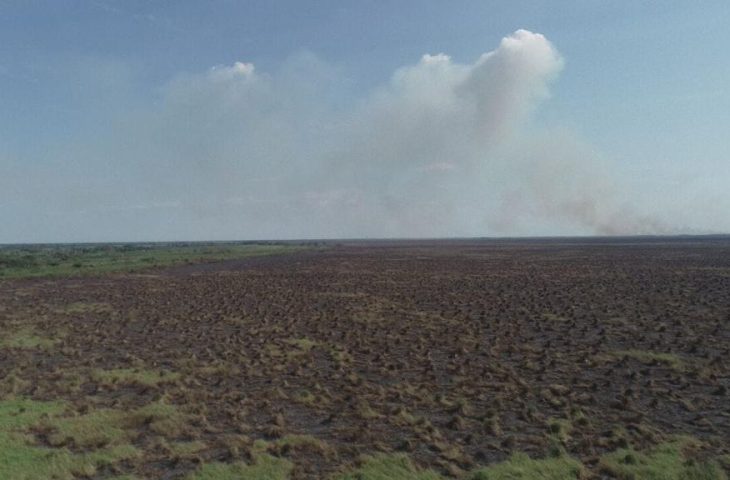 Com tecnologia e técnica, bombeiros de MS extinguem fogo na região do Pantanal