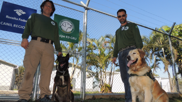 Cães farejadores do Mapa chegam ao aeroporto de Guarulhos para reforçar a fiscalização