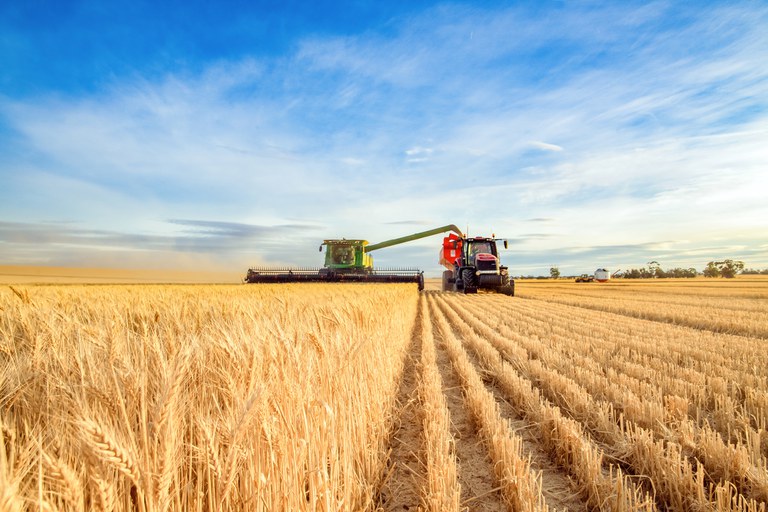 Plano Safra deve destinar R$ 2 bilhões para proteger produtores de mudanças climáticas e outras perdas na agricultura, propõe Coalizão Brasil