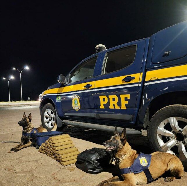 PRF apreende 26 kg de maconha em Planaltina (DF)