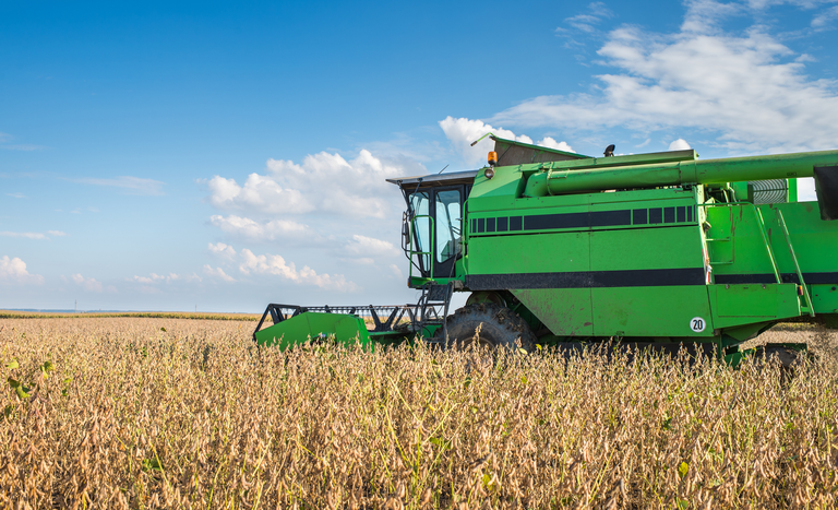 Exportações do agronegócio são recorde com US$ 14,4 bilhões em julho