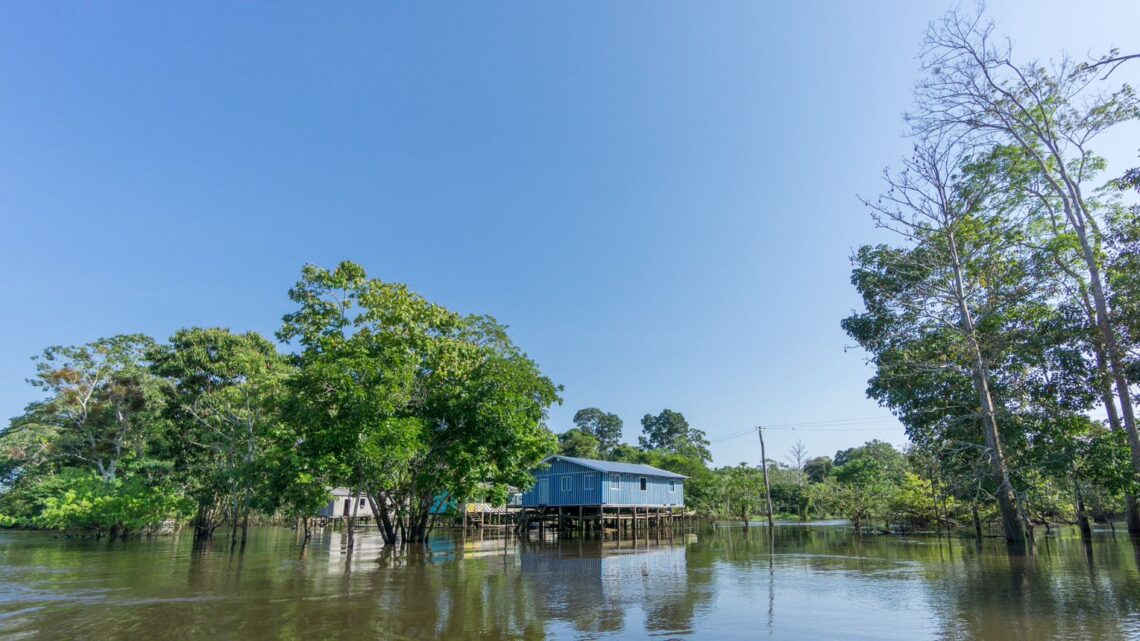 Concertação pela Amazônia lança, na Cúpula, em Belém, documento com propostas para o território