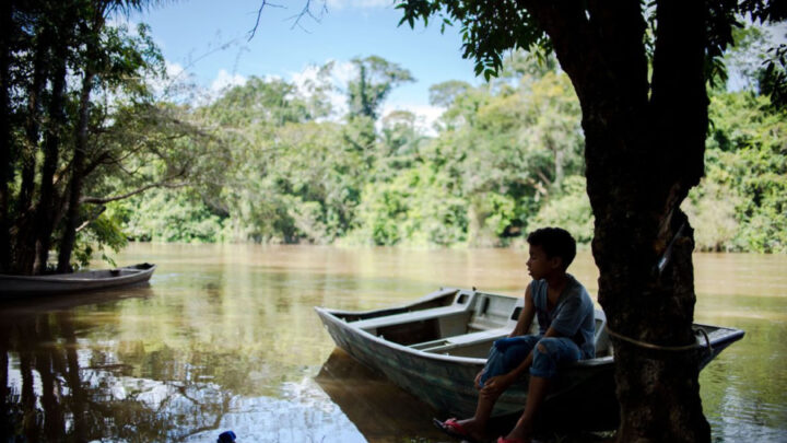 Em Belém, Conselhão fecha acordo para retomada do Bolsa Verde