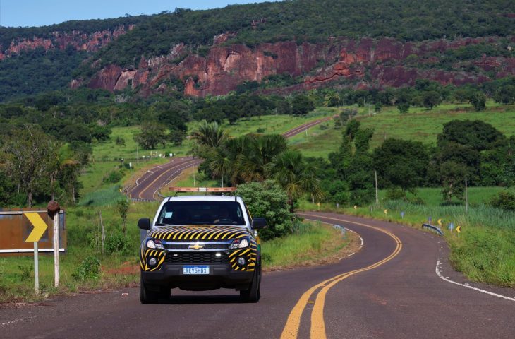 “Estrada Viva” amplia ações em rodovias para reduzir acidentes com animais silvestres