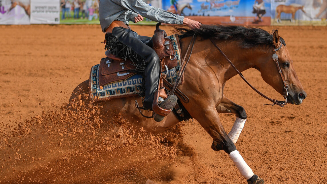 Cuidados adequados podem evitar aposentadoria precoce de cavalos atletas por doença articular degenerativa 