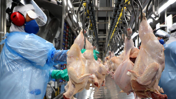 Japão retira suspensão de exportação de carne de frango do Espírito Santo