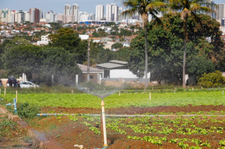 Banco do Brasil cedeu mais de R$ 115 bilhões ao agro e à agricultura familiar em 2023