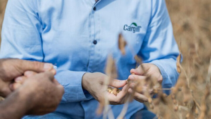 Cargill mapeia 100% dos grãos comprados diretamente na América do Sul