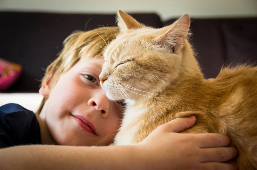 Dia do Gato: confira algumas curiosidades sobre os felinos