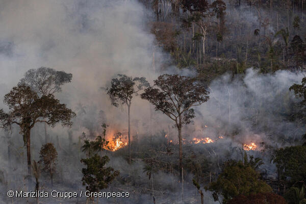 Greenpeace divulga imagens inéditas de queimadas na Amazônia, apesar de queda no desmatamento