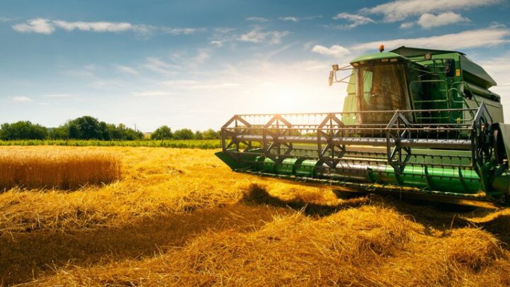 Agropecuária apresenta crescimento perto de 18% neste semestre