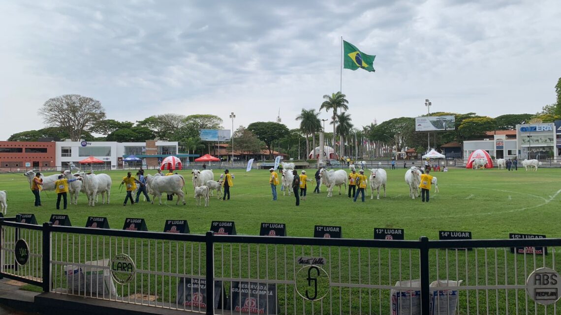 ACNB anuncia abertura de inscrições para a 52ª Expoinel em Uberaba (MG)