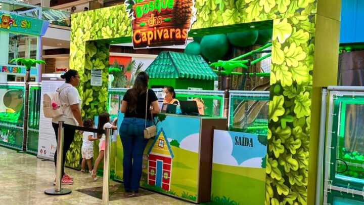 Animal símbolo da Capital de MS, parque temático de capivaras é inaugurado em Campo Grande