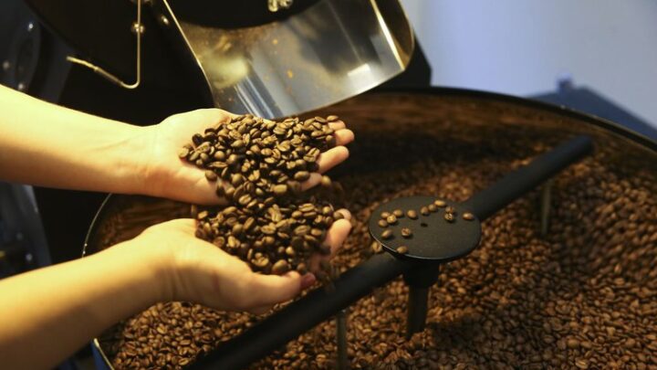Produção de café está estimada em 54,36 milhões de sacas, 3ª maior na série histórica