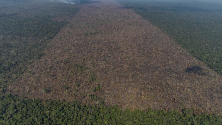Desmatamento na Amazônia de janeiro a agosto é o menor desde 2018