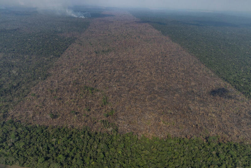 Desmatamento na Amazônia de janeiro a agosto é o menor desde 2018