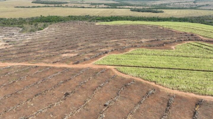 Operação contra desmatamento em Mineiros (GO) aplica R$ 1,7 milhão em multas
