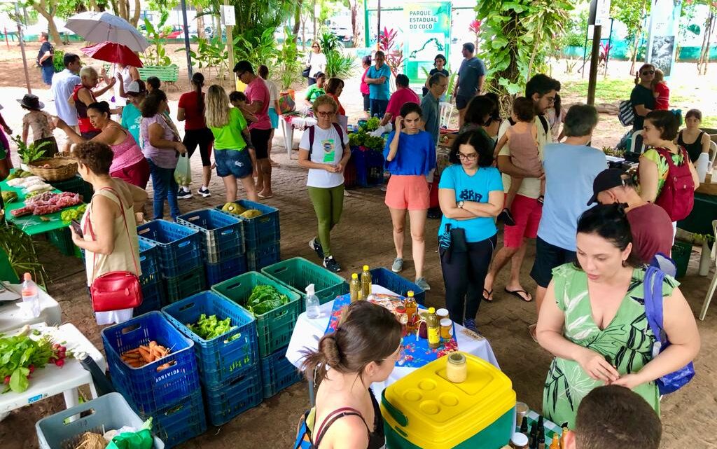 Feira agroecológica movimenta mais uma manhã de sábado em Fortaleza (CE)