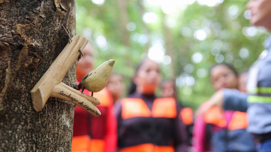 Hydro une educação ambiental e inovação em mina de bauxita